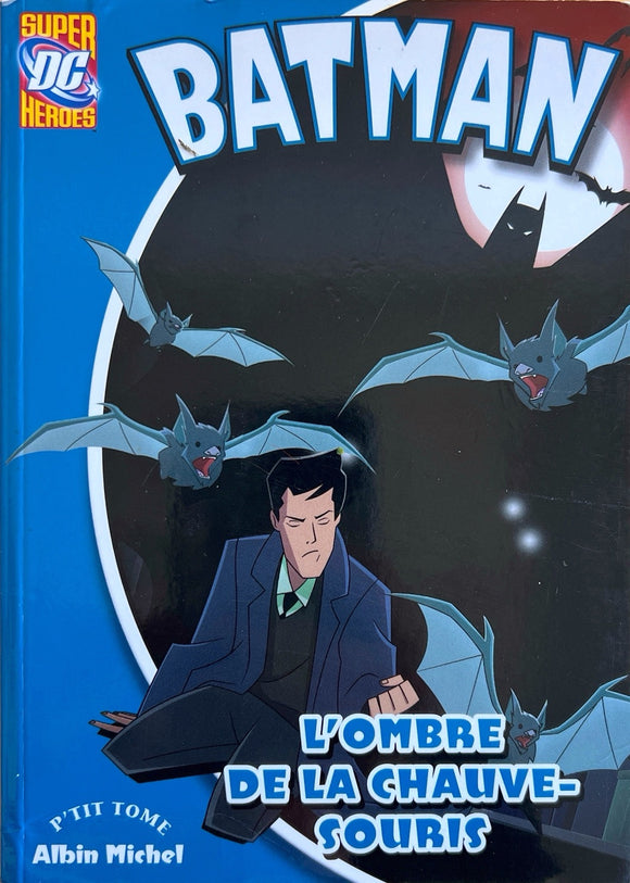 L'ombre de la chauve-souris - Batman