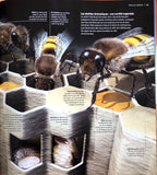 Insectes et araignées à la loupe 2