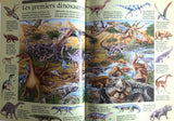Cache-Cache - Dinosaures2