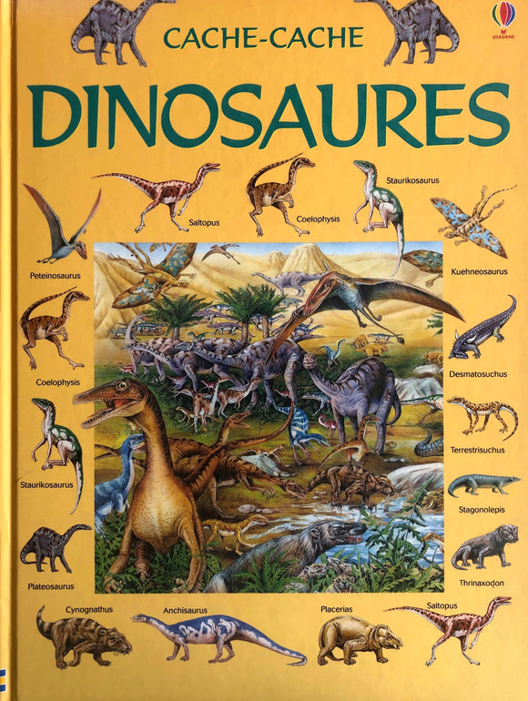 Cache-Cache - Dinosaures