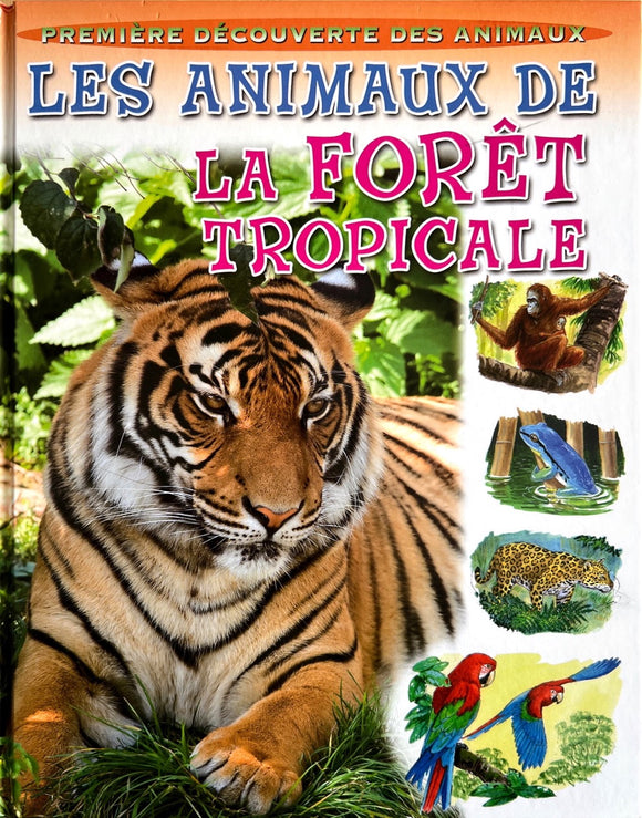 Première découverte des animaux - Les animaux de la foret tropical