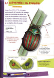 Mes guides nature - Les petites Bêtes 