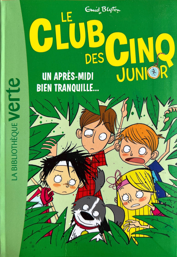 Le club des Cinq Junior - un après-midi bien tranquille...