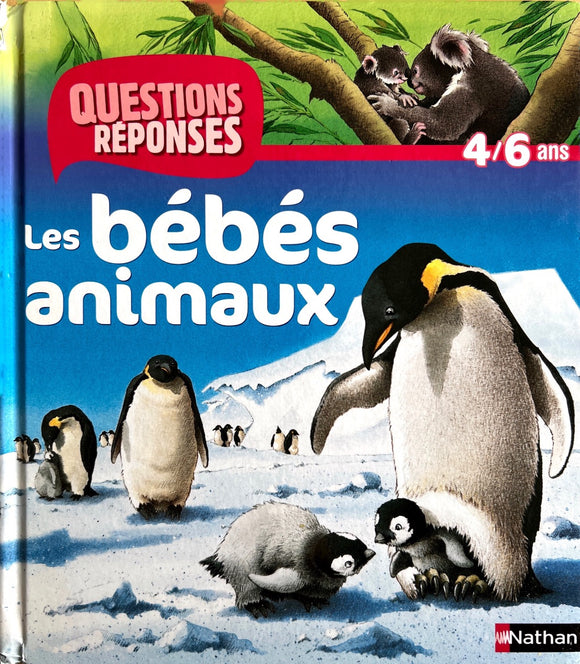 Questions réponses - Les Bébés animaux 