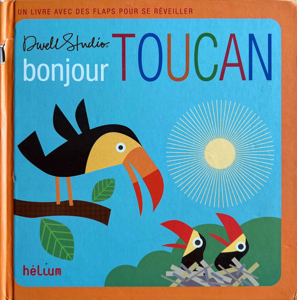 Bonjour Toucan